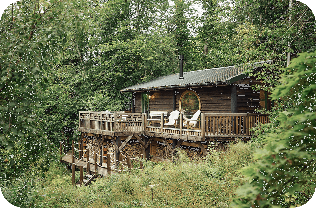 The Forager's Cabin