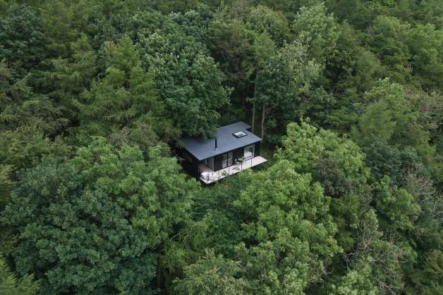 Bracken Treehouse