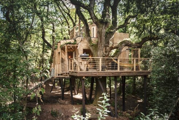 The Woodsman's Treehouse